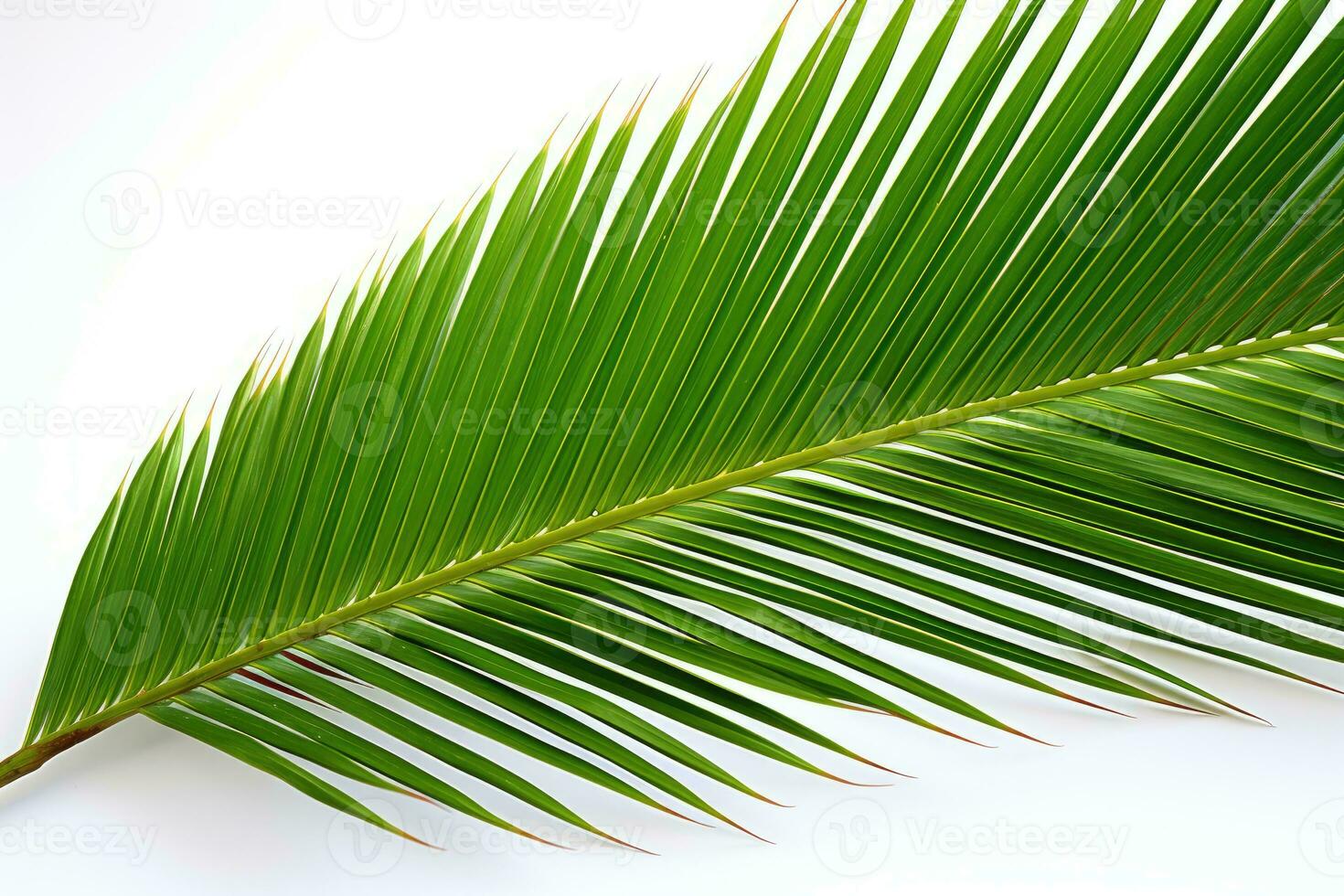 AI generated leaves white background green leaves photo