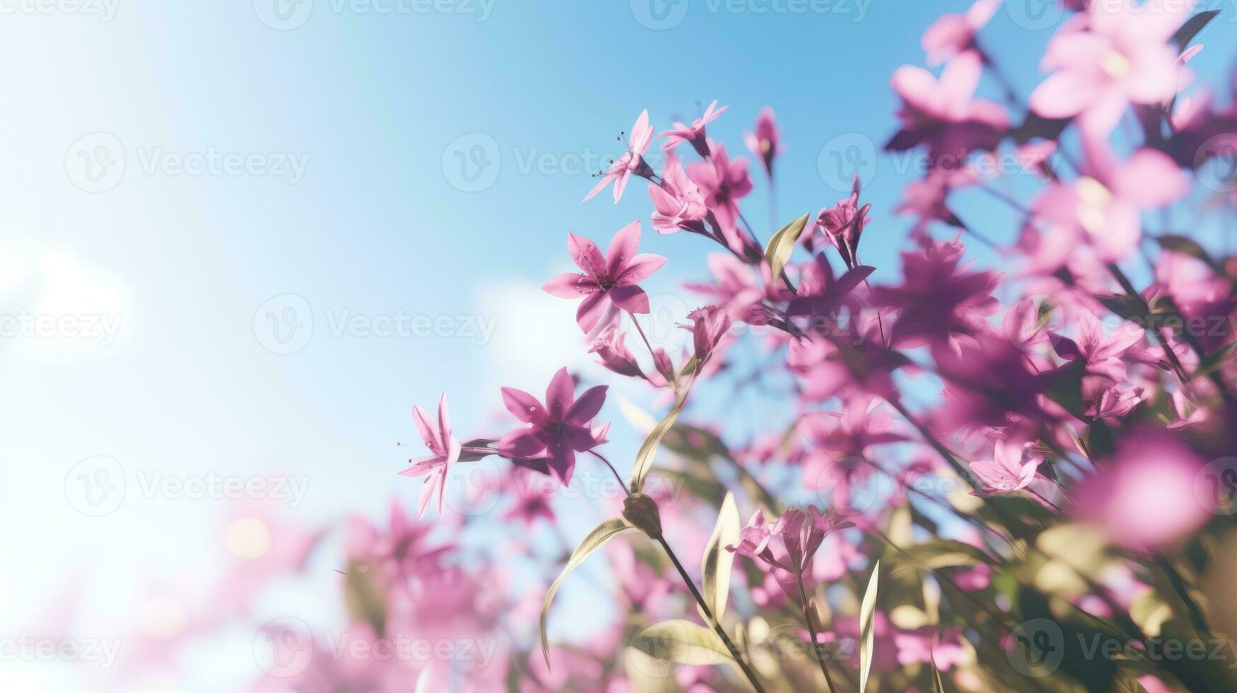 ai generado flores, antecedentes imagen, flor campo, brillo, frescura, escenario, paisaje, naturaleza foto