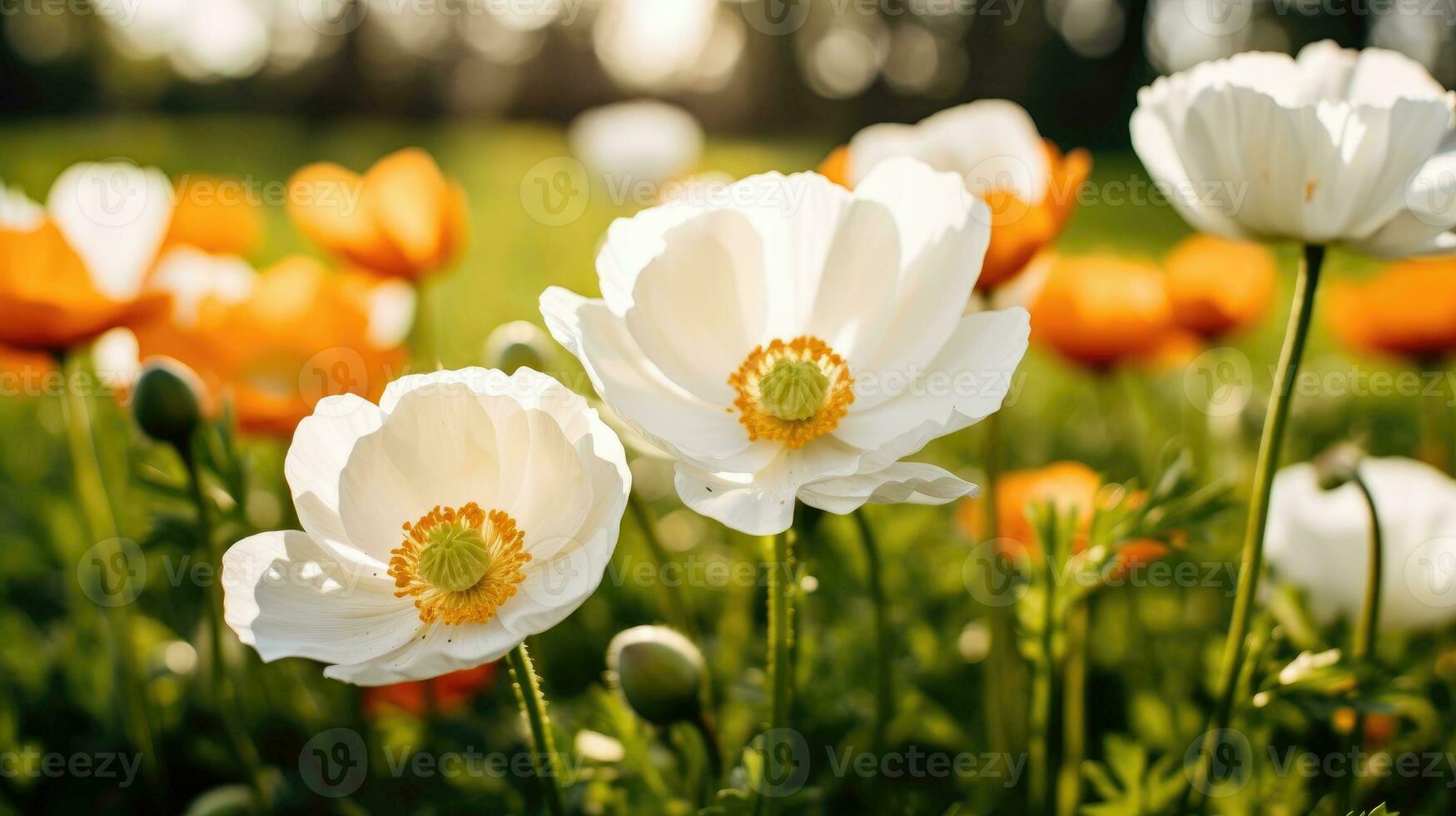 ai generado flores, antecedentes imagen, flor campo, brillo, frescura, escenario, paisaje, naturaleza foto