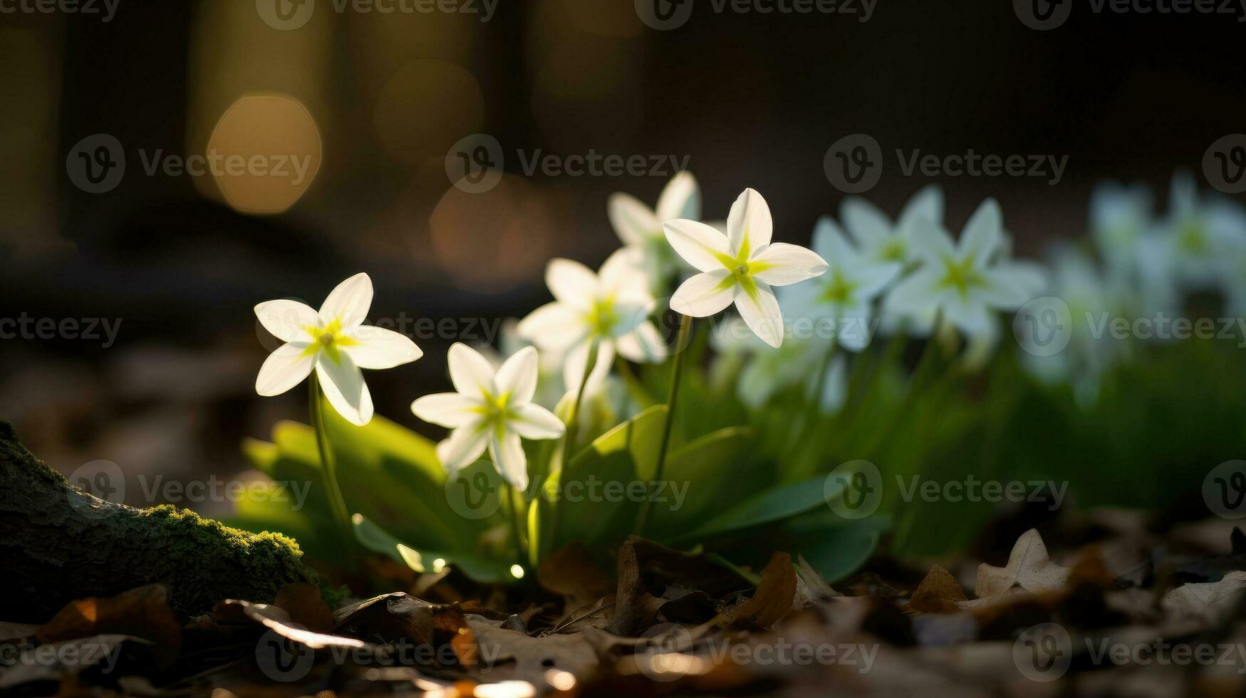 AI generated Flowers, background image, flower field, brightness, freshness, scenery, landscape, nature photo