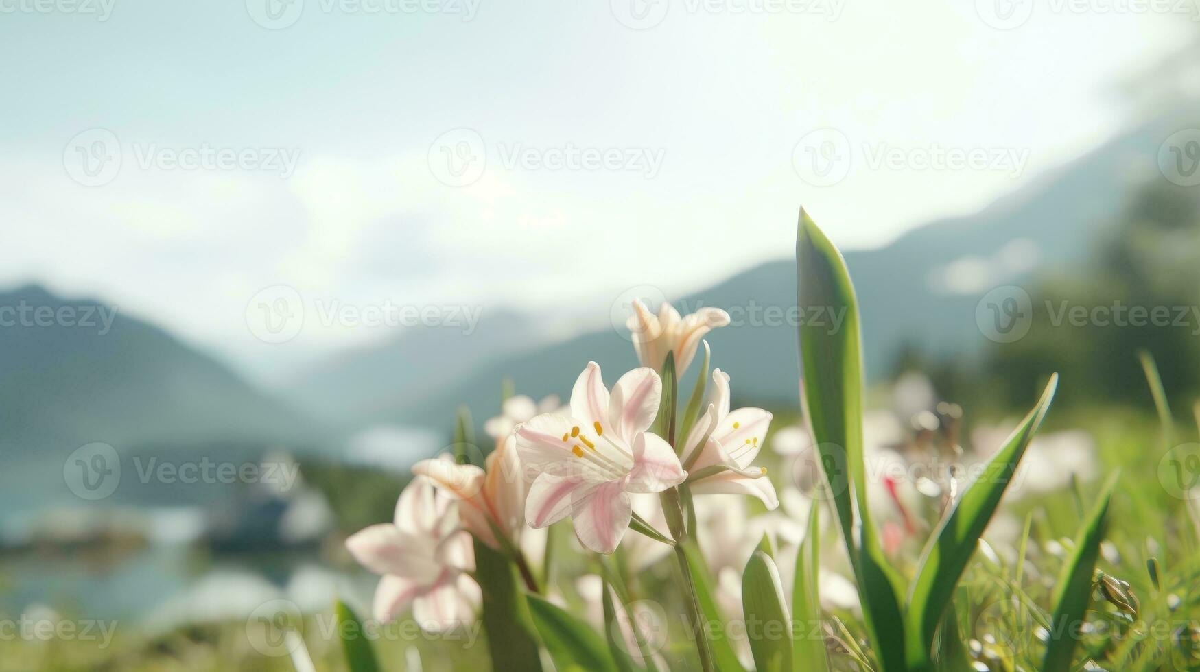 AI generated Flowers, background image, flower field, brightness, freshness, scenery, landscape, nature photo