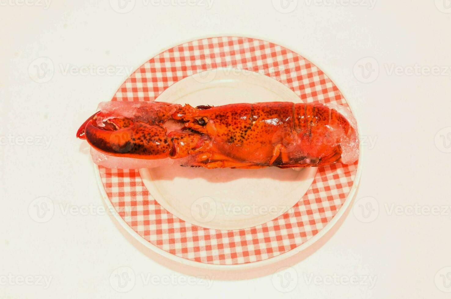 a lobster on a plate with a checkered pattern photo