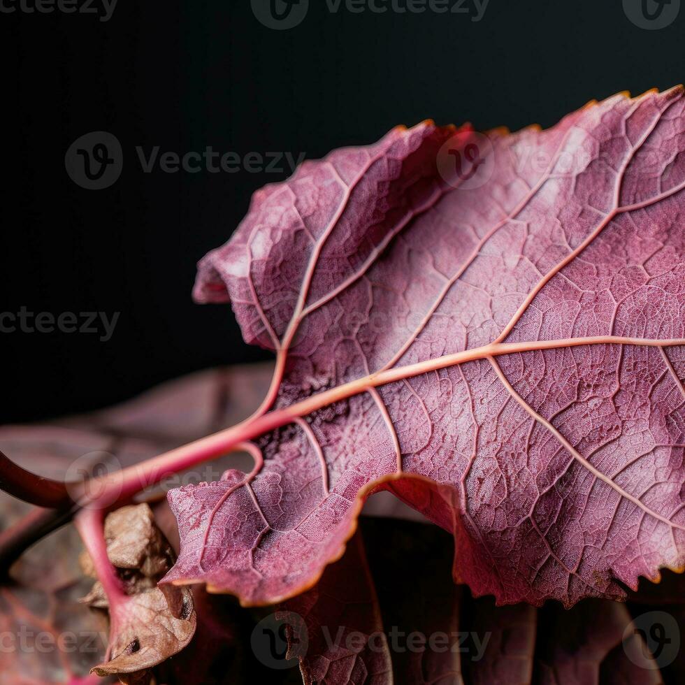 AI generated leaf, leaf texture, close-up angle, macro lens photo