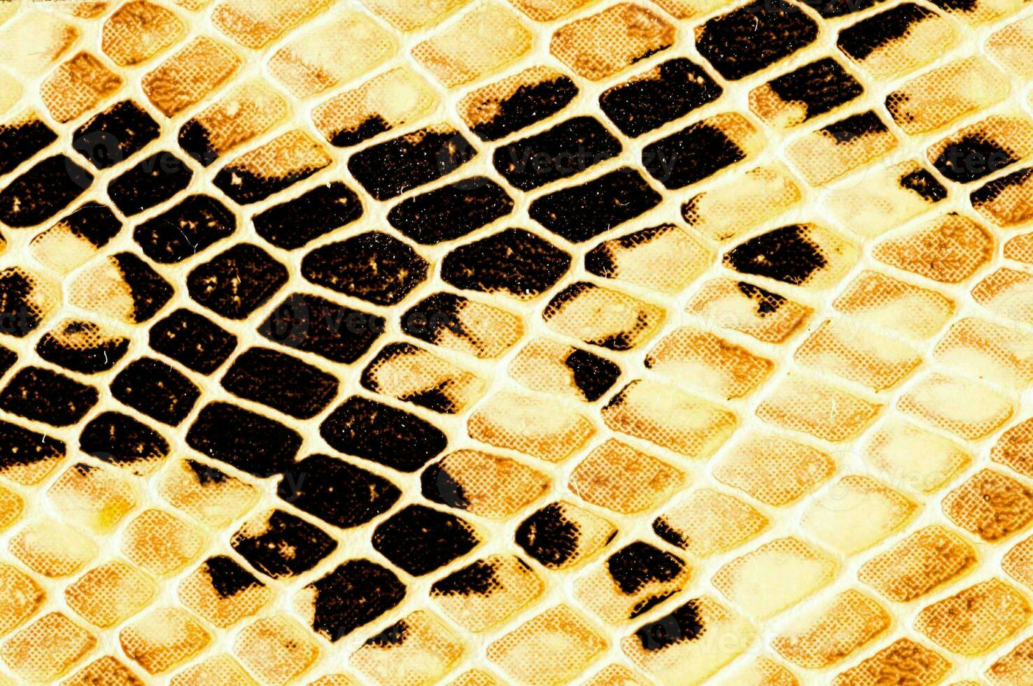 a snake skin texture with brown spots photo