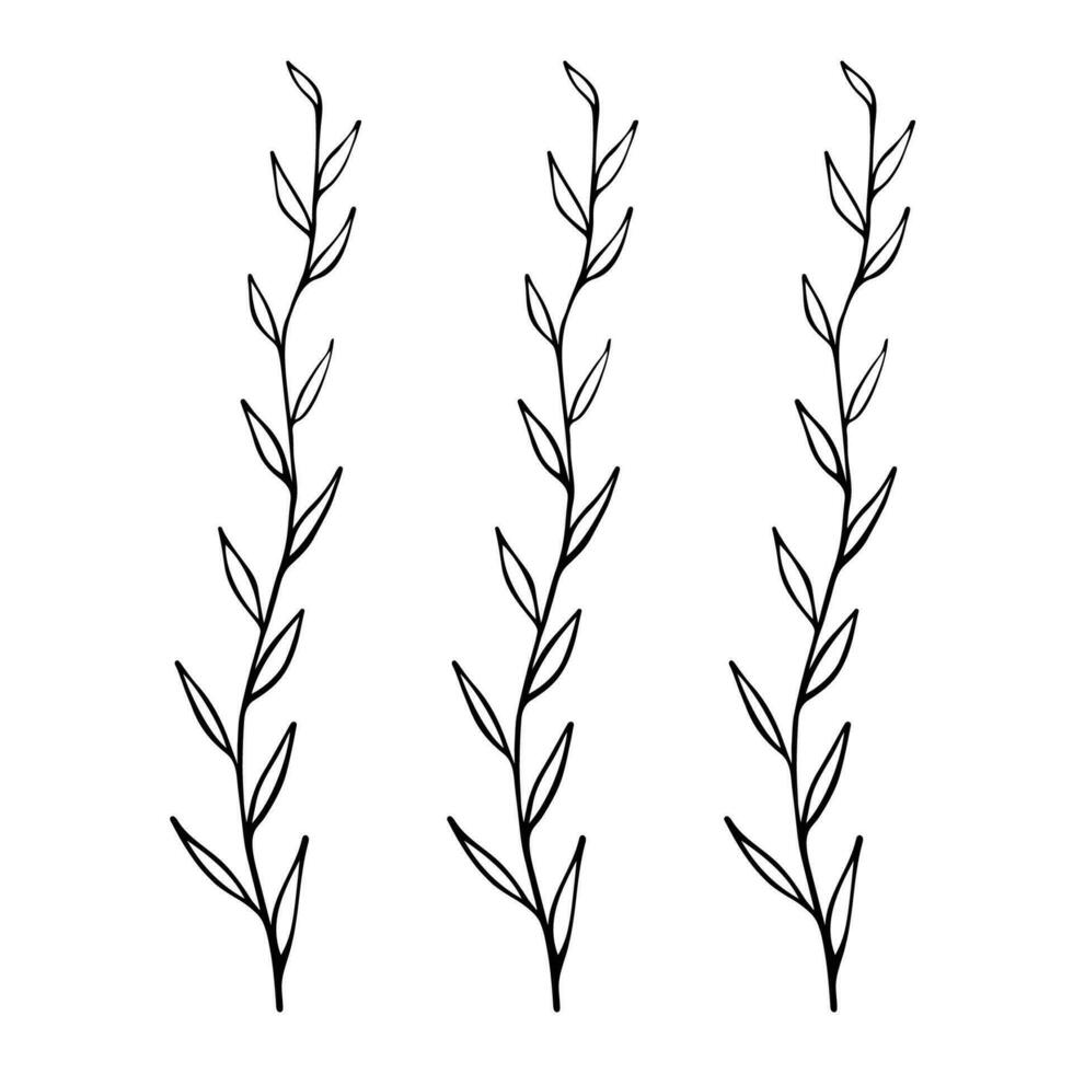 Set of wild plants, branches on a white background. vector