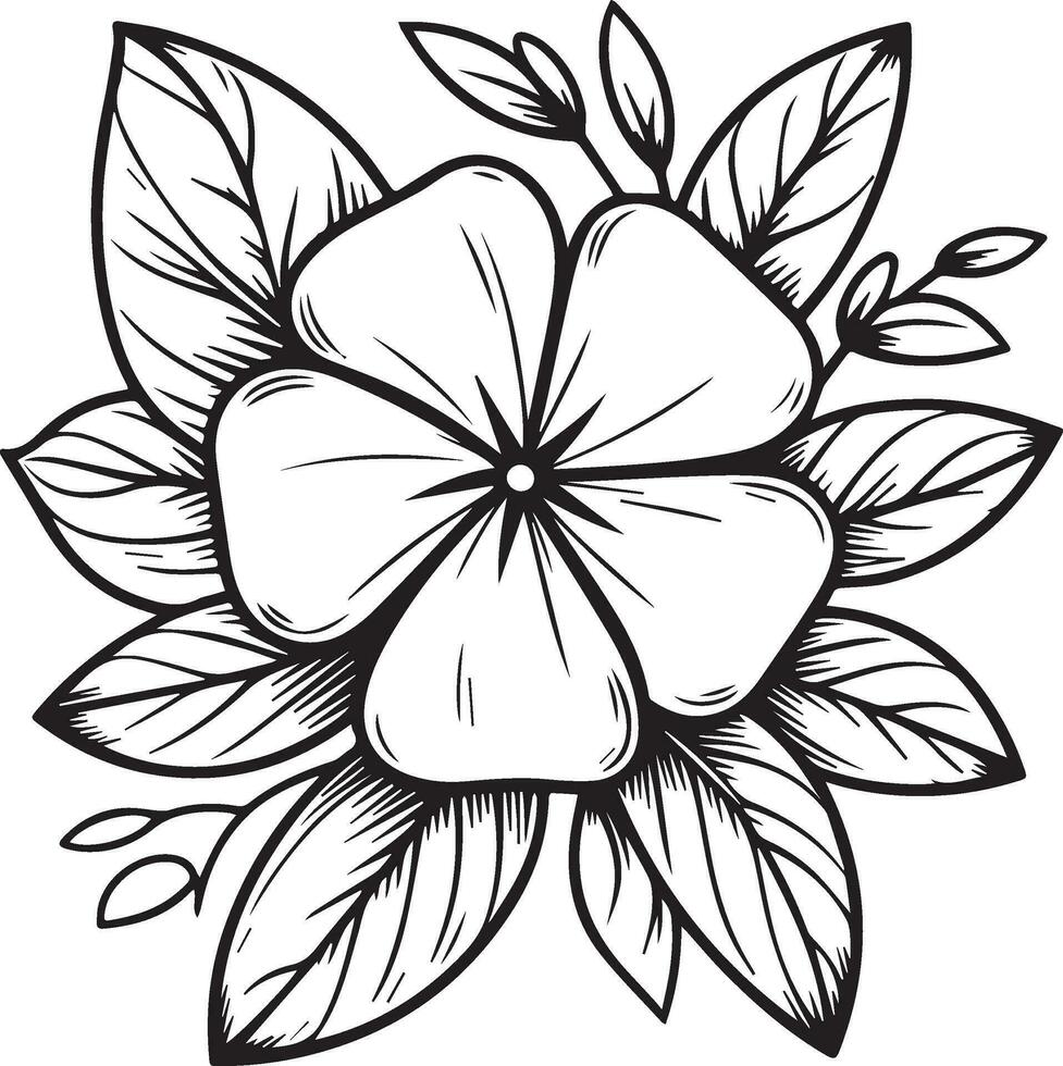 periwinkle flower sketch, clip art minimalist periwinkle flower outline, simple Catharanthus line drawings, simple periwinkle flower drawing, pencil sketch Sada bahar flower drawing vector
