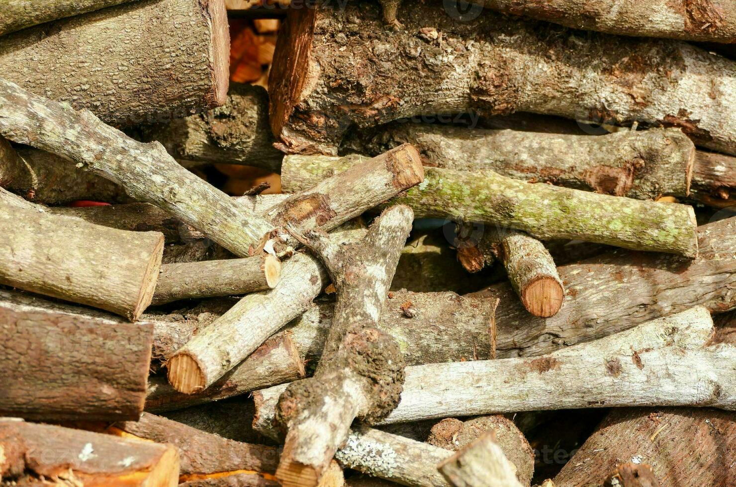 a pile of logs is shown in this photo