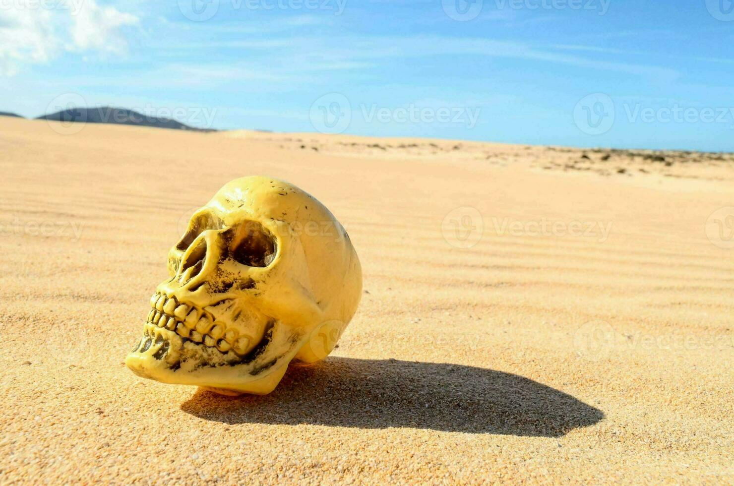 a skull sitting in the sand on a desert photo