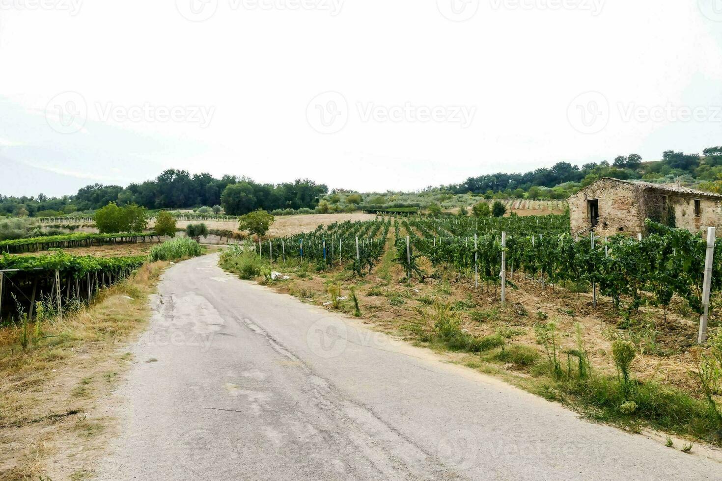 vista panorámica de la carretera foto