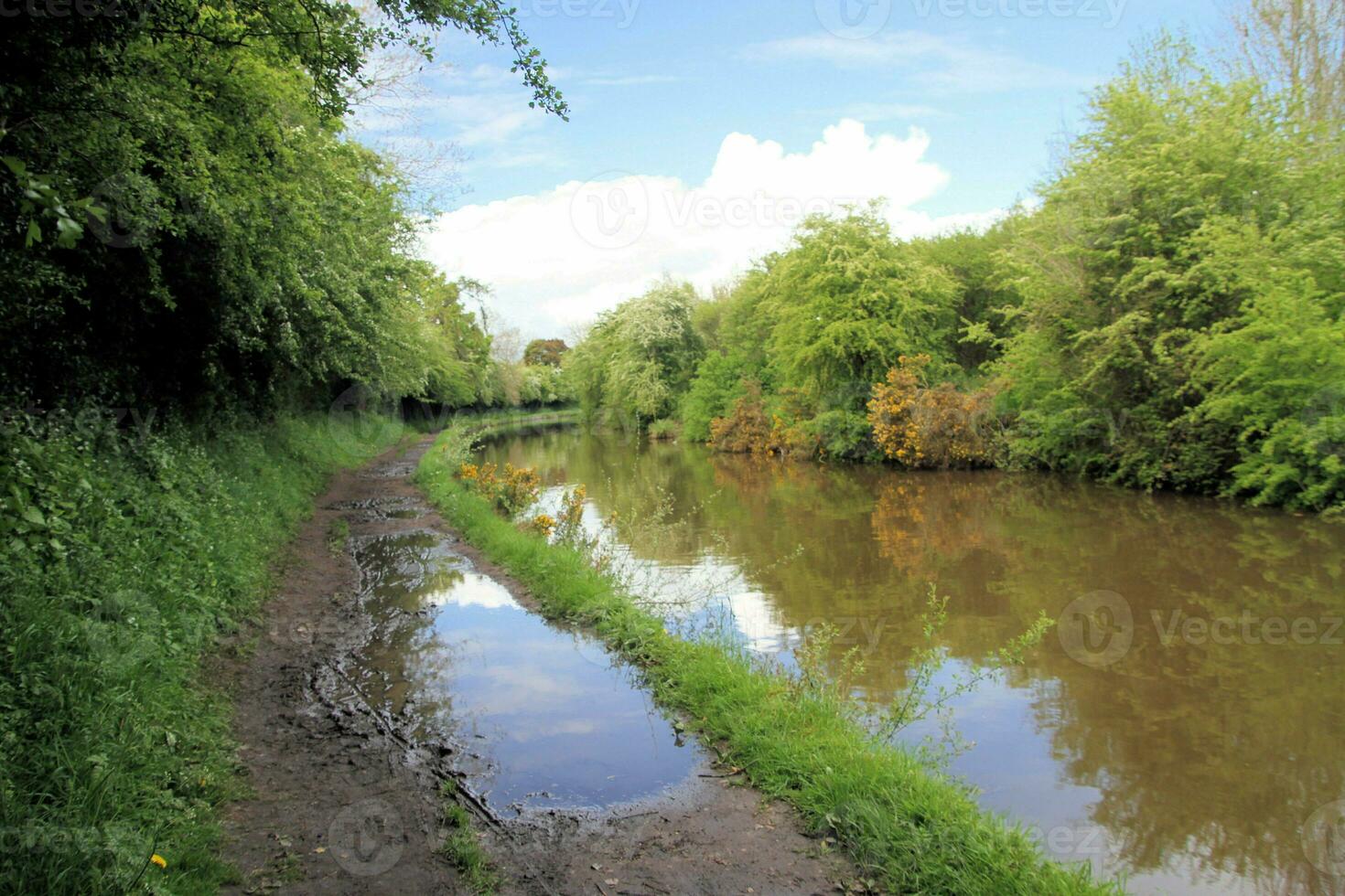 A view of the Shropshire Union Canal at Whitchurch photo