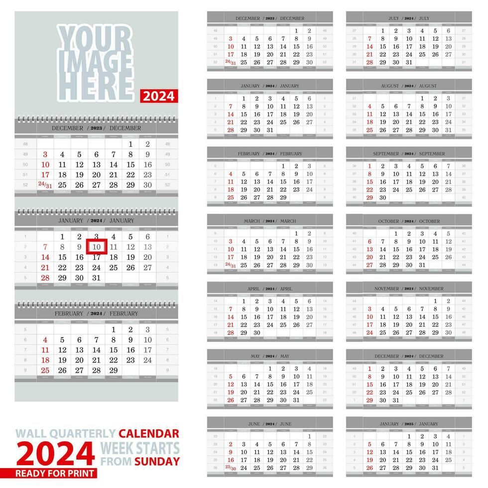 Wall quarterly calendar 2024. Week start from Sunday, ready for print. vector