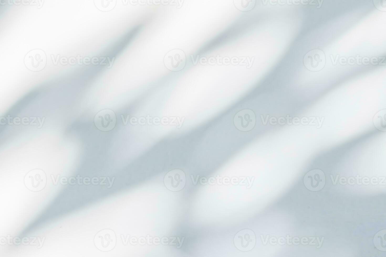 Abstract natural tree leaves shadow on white wall background photo