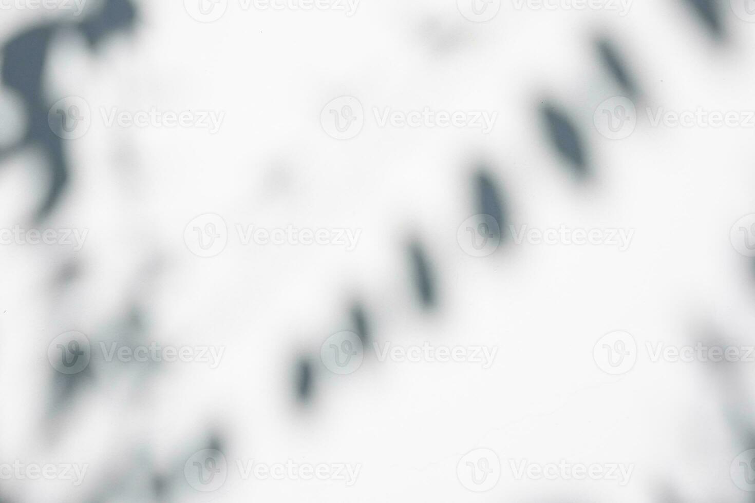 Abstract natural tree leaves shadow on white wall background photo