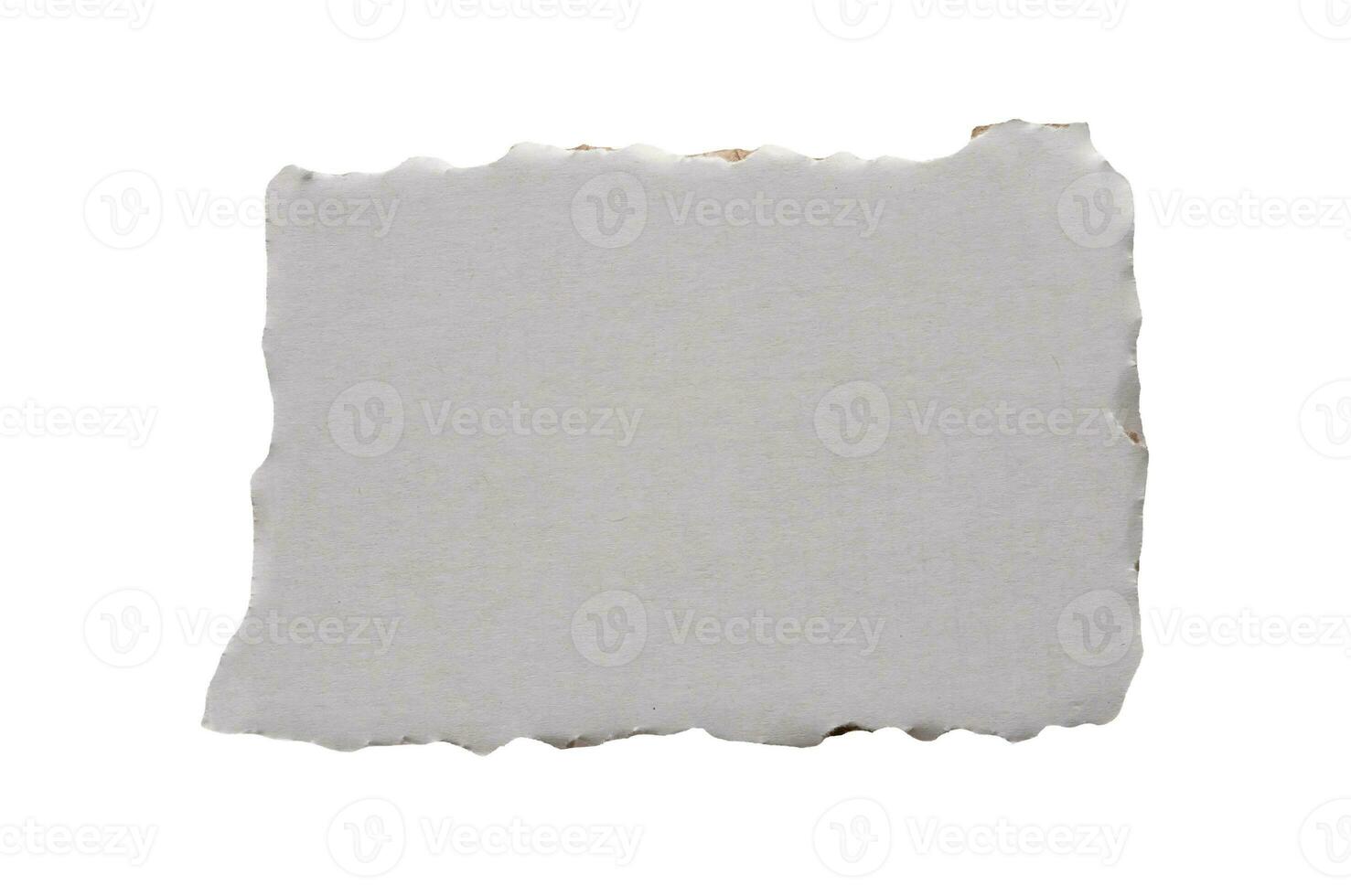 piece of white paper tear isolated on white background photo