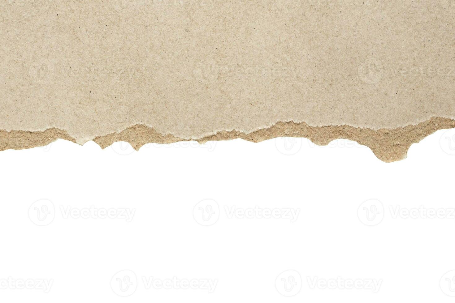 Gray ripped paper torn edges strips isolated on white background photo