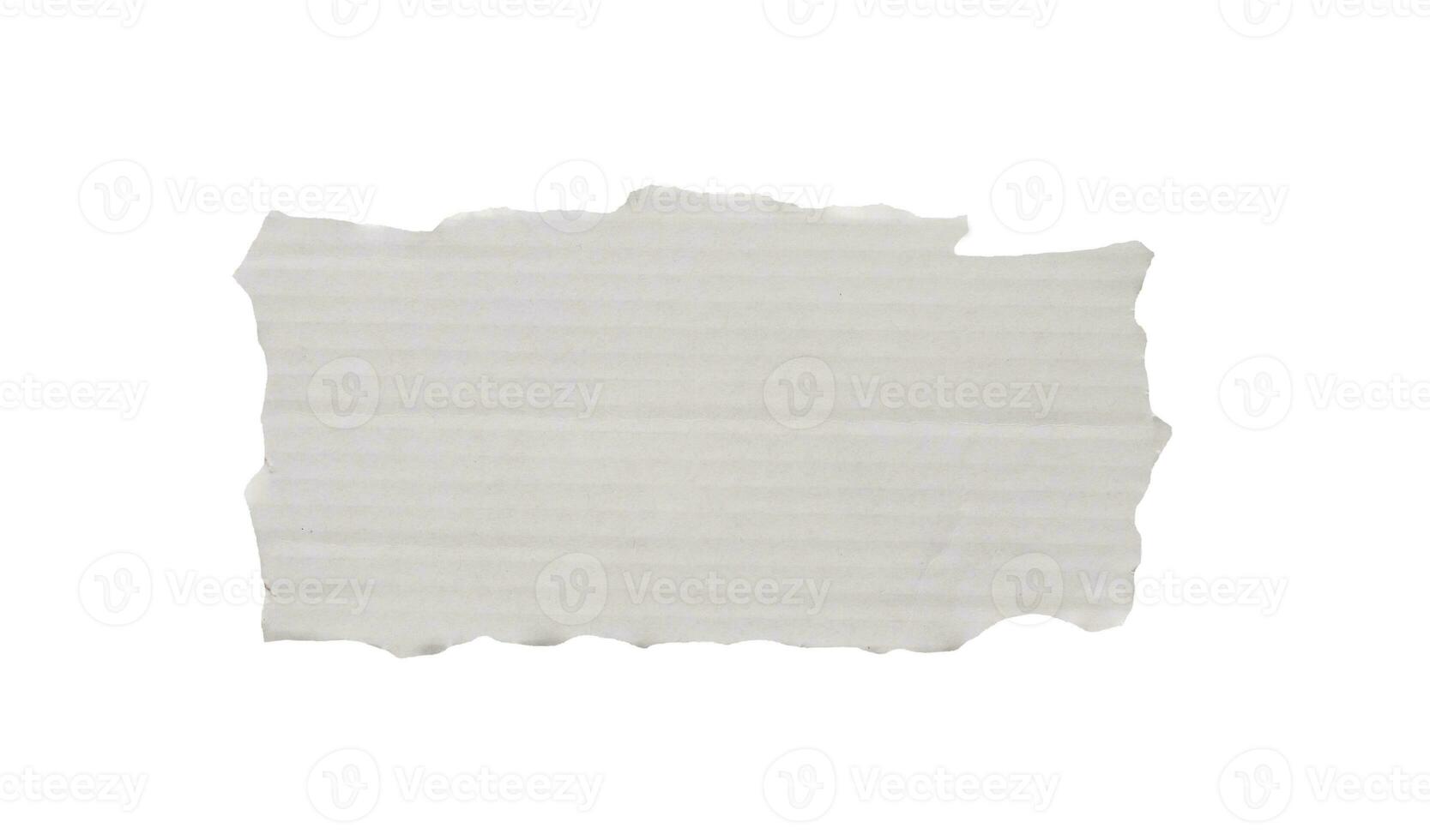 piece of white paper tear isolated on white background photo