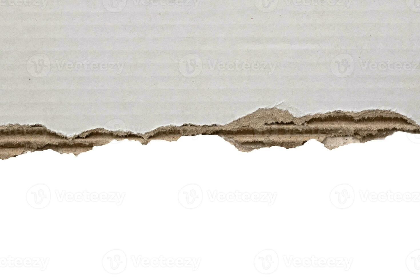 White ripped paper torn edges strips isolated on white background photo