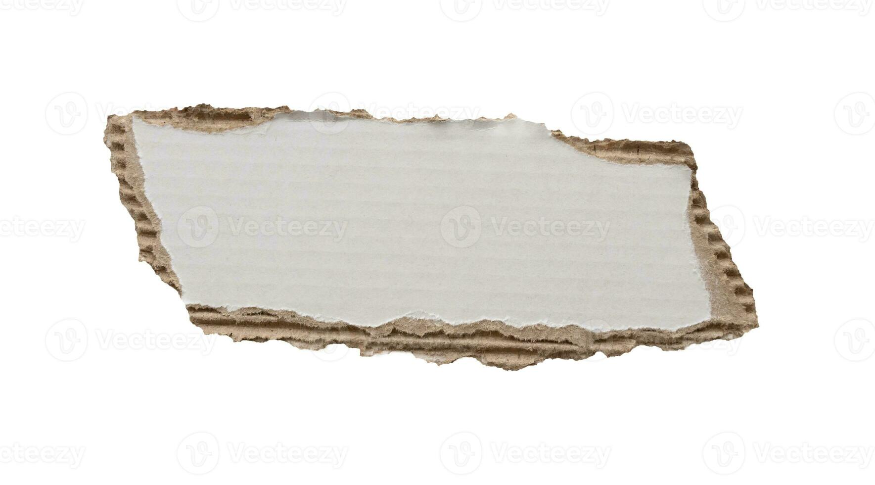 piece of white paper tear isolated on white background photo