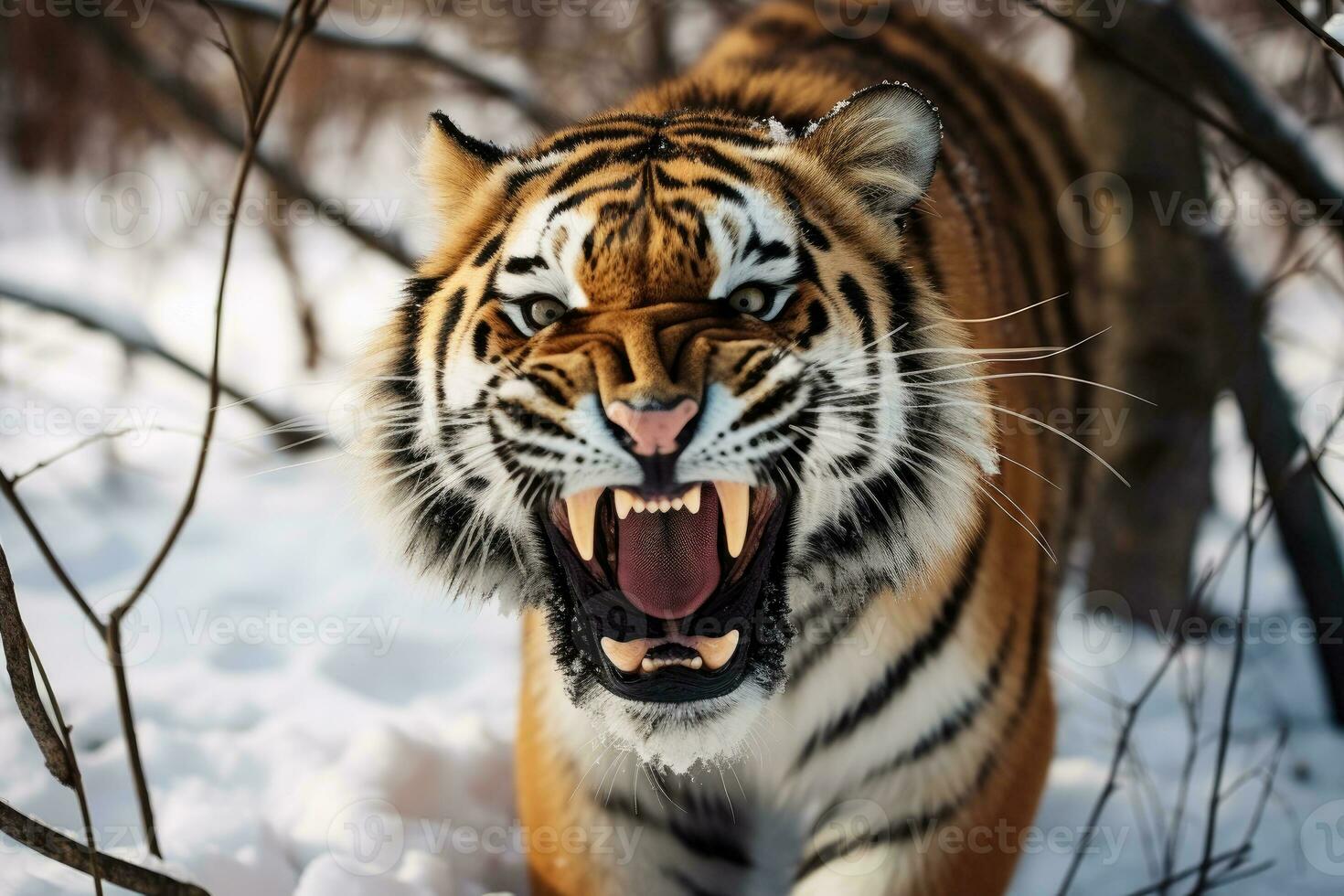 AI generated Angry ussurian tiger in a snowy forest photo