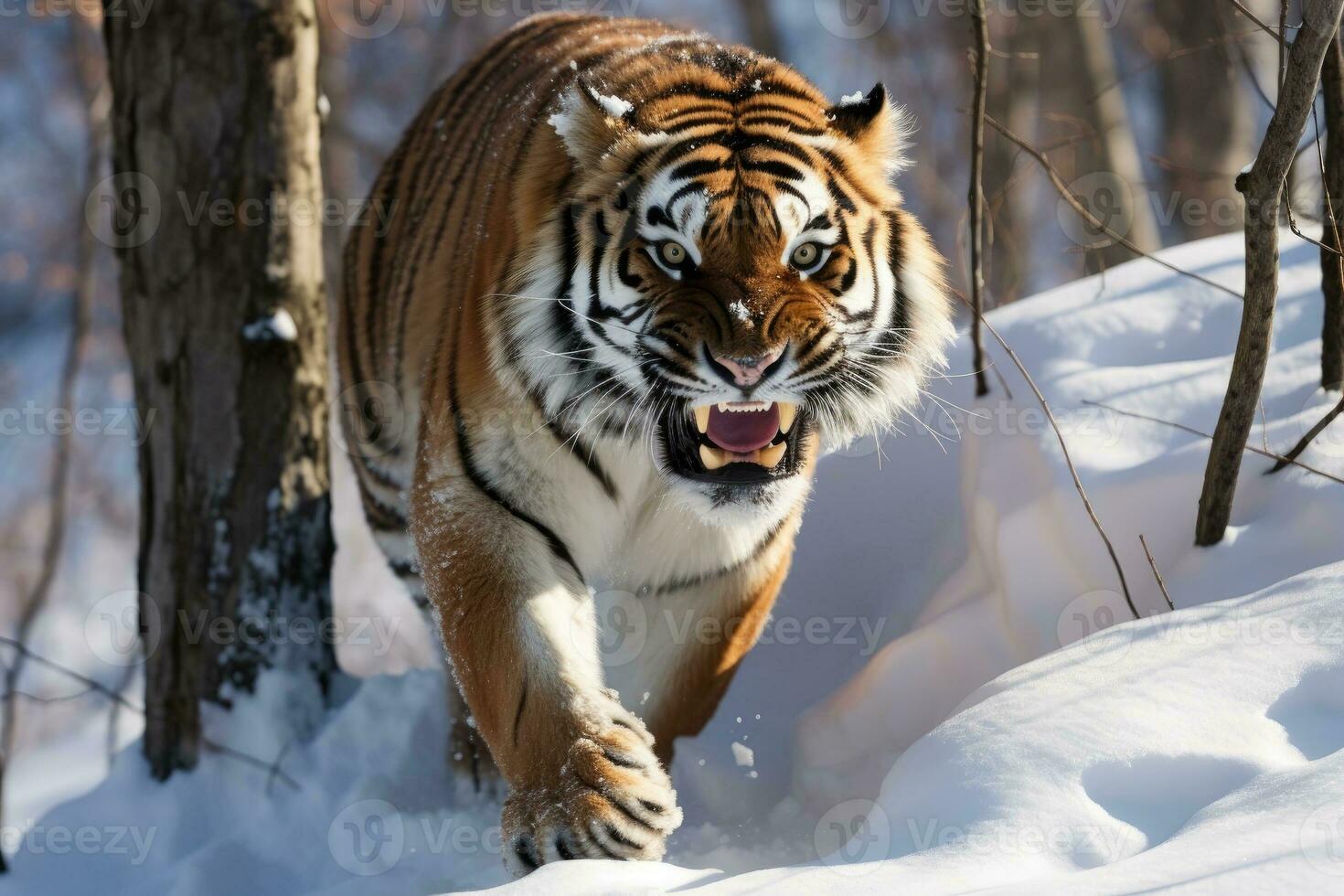 AI generated Angry ussurian tiger in a snowy forest photo