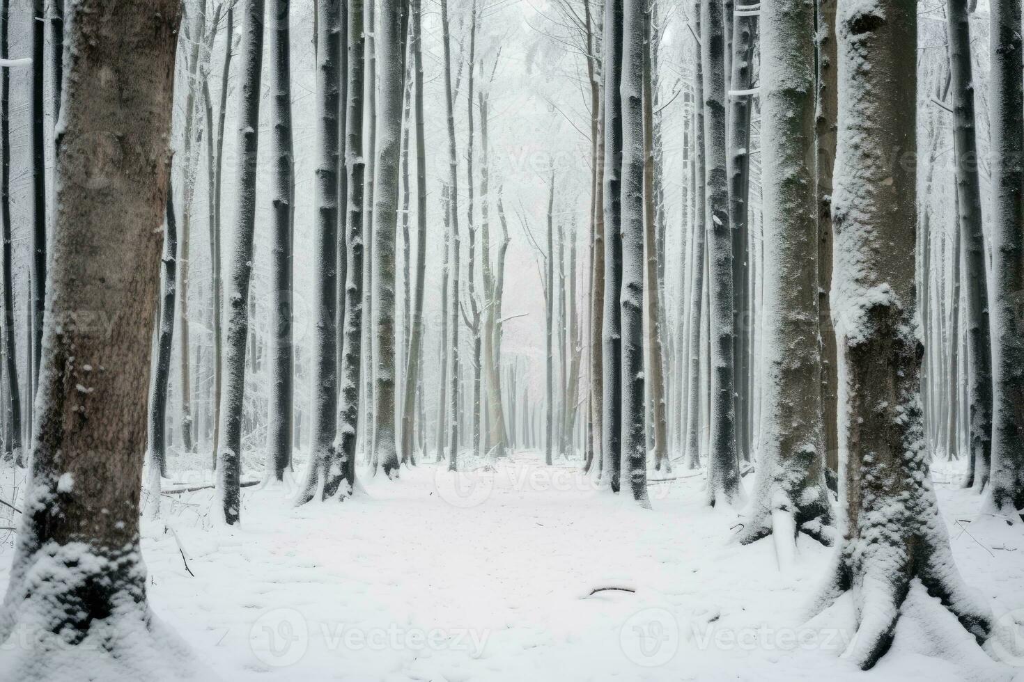 AI generated Tree trunks in dense snowy forest in winter. photo