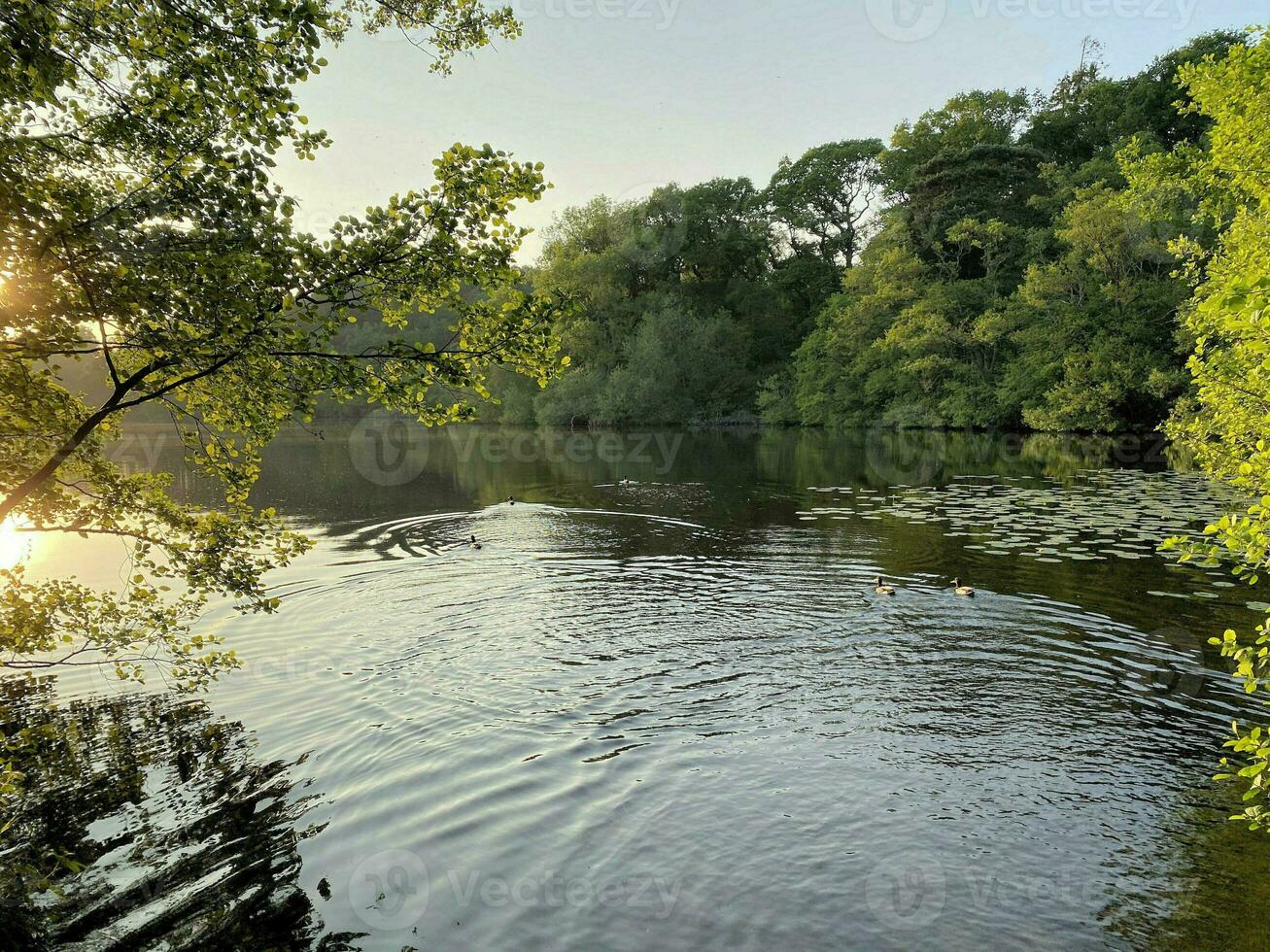 A view of Blake Mere Lake near Ellesmere in Shropshire photo