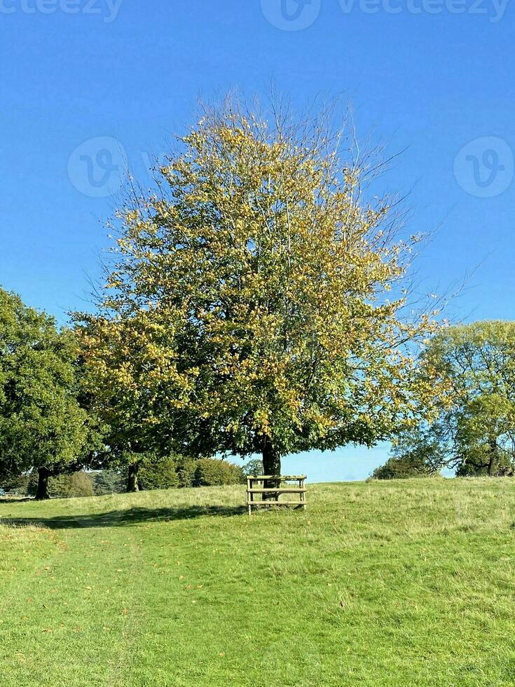 un ver de el Cheshire campo cerca knutsford en un soleado día en otoño foto