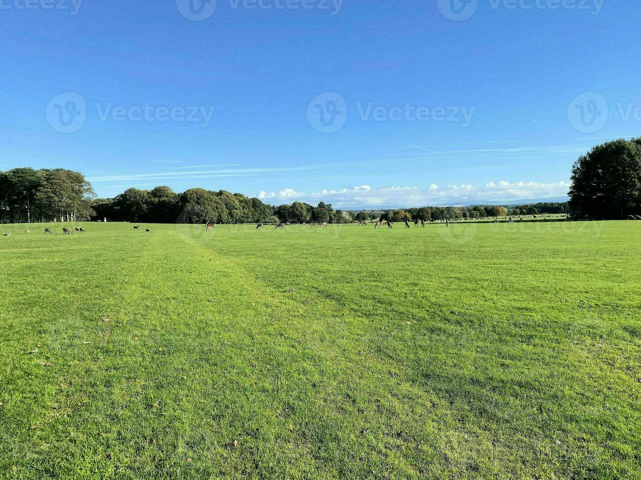 un ver de el Cheshire campo cerca knutsford en un soleado día en otoño foto