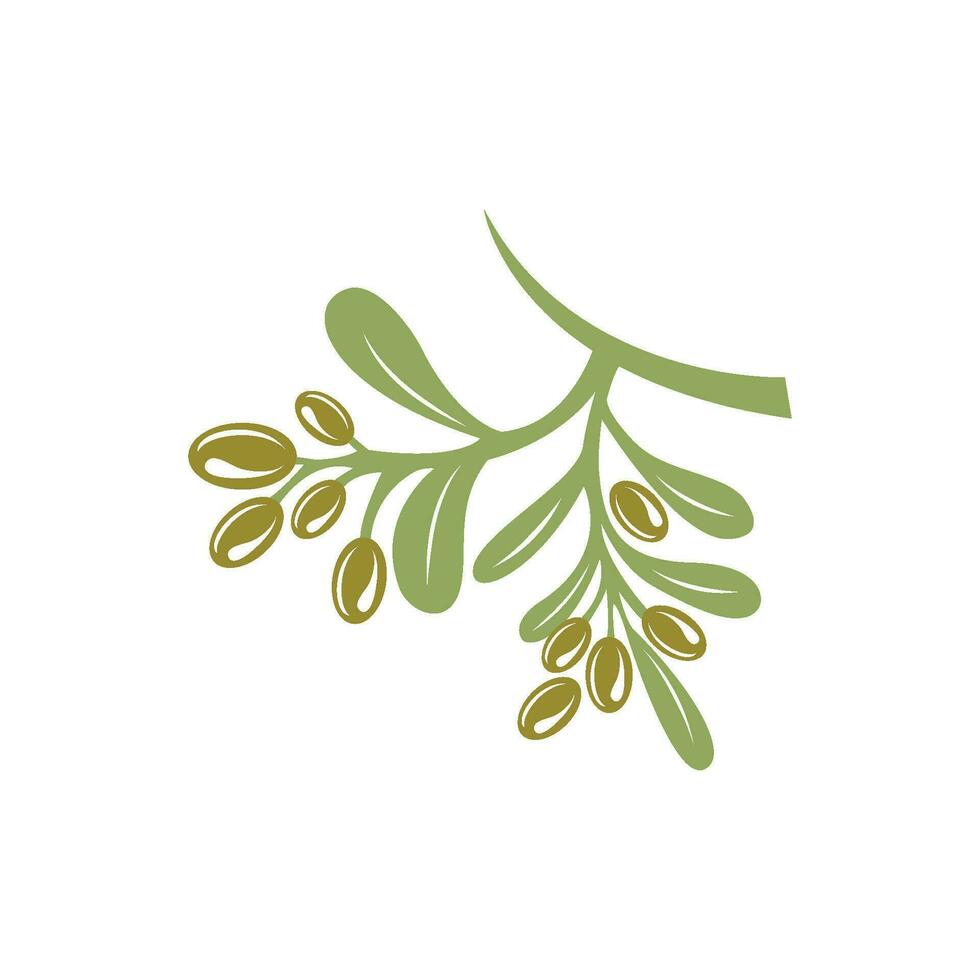 olive icon vector illustration