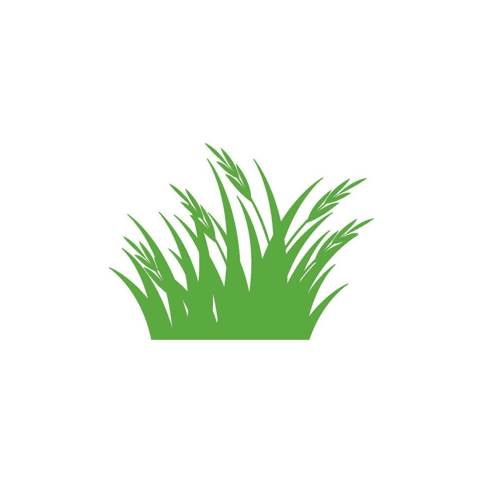 grass icon vector