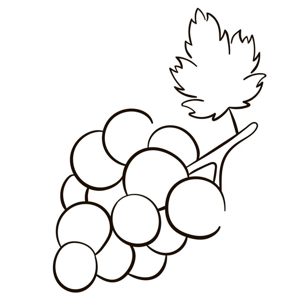 Grape icon line art style. Line drawing healthy organic grapes for label, poster, print, menu. Vector illustration.