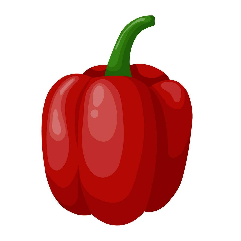 Bulgarian pepper isolated on a white background. Sweet red pepper, bell pepper. Vector illustration of pepper.