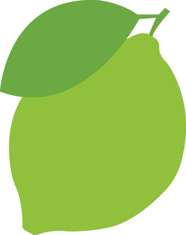 Slice of fresh green lemon summer. Fresh lemon fruits vector