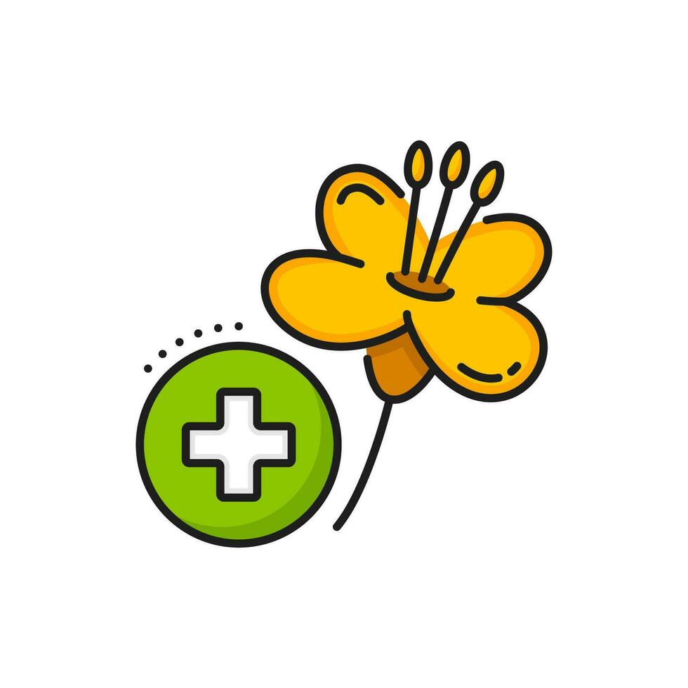 Rapeseed, canola oil icon of flower and cross vector