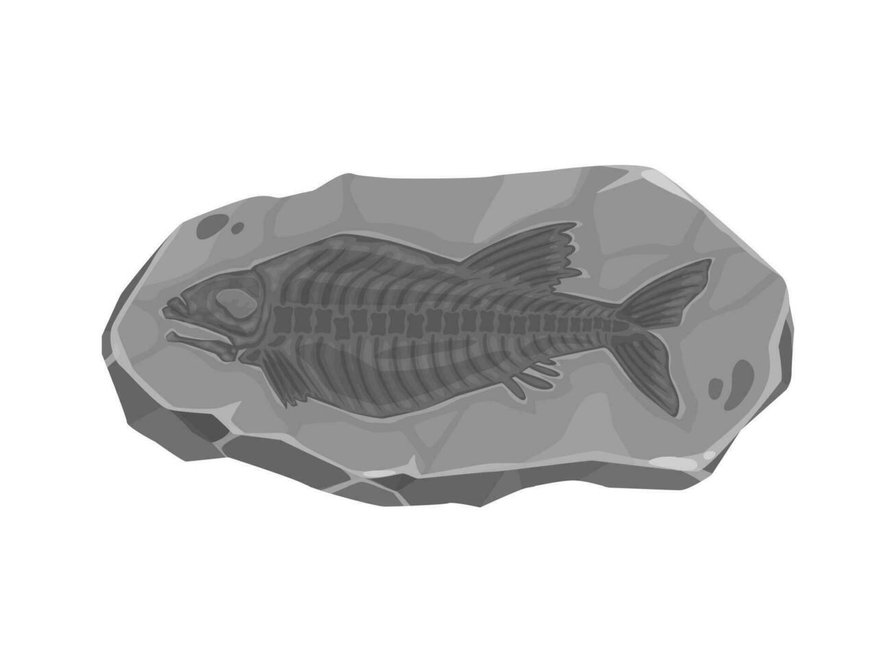 Ancient extinct fish fossil imprint in stone vector