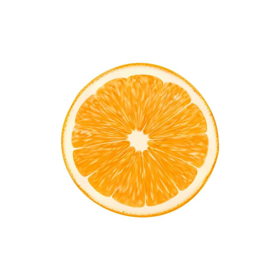 Realistic ripe orange citrus fruit slice or half vector