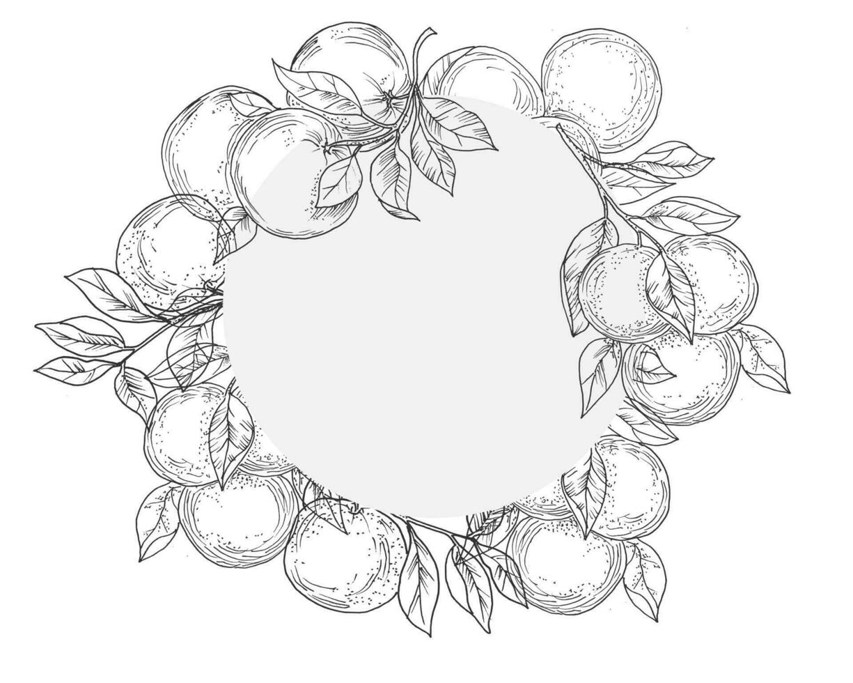 Hand Drawn Orange Fruit Wreath vector