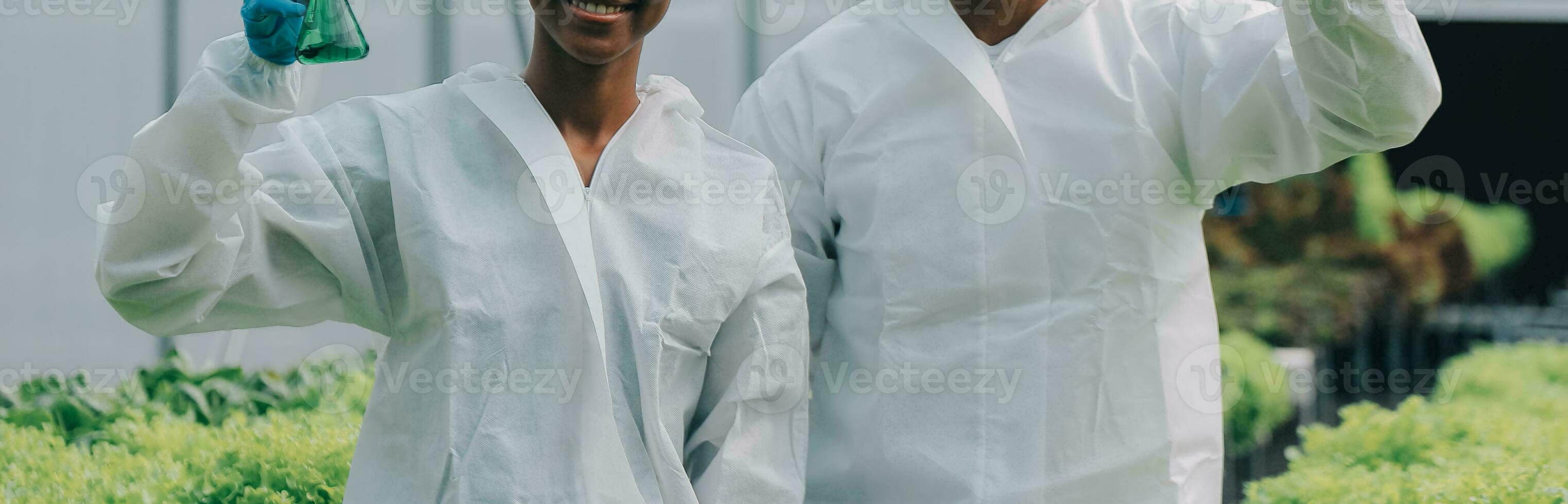 Two Asian farmers inspecting the quality of organic vegetables grown using hydroponics. photo