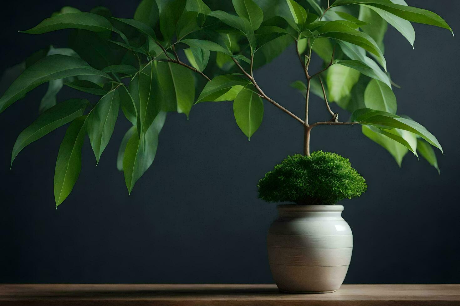 AI generated bonsai tree in a pot on a table photo
