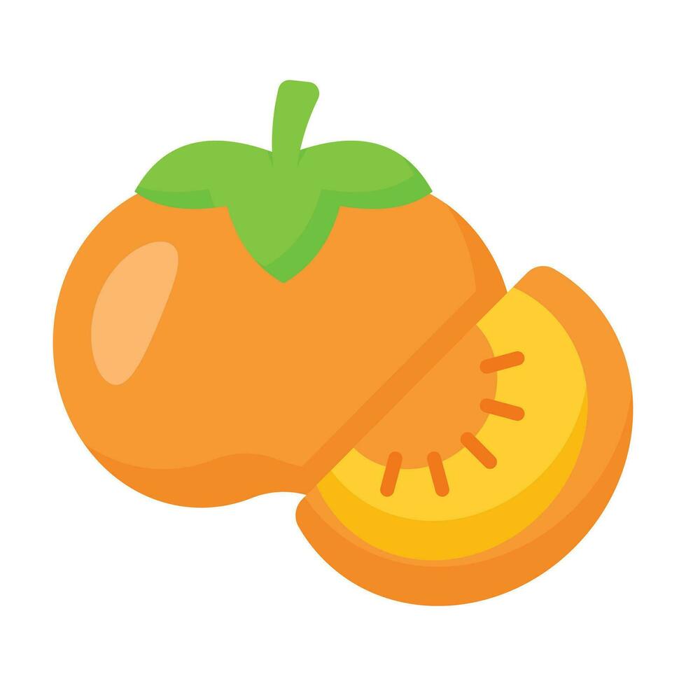 Persimmon fruit icon in modern design style, ready to use vector