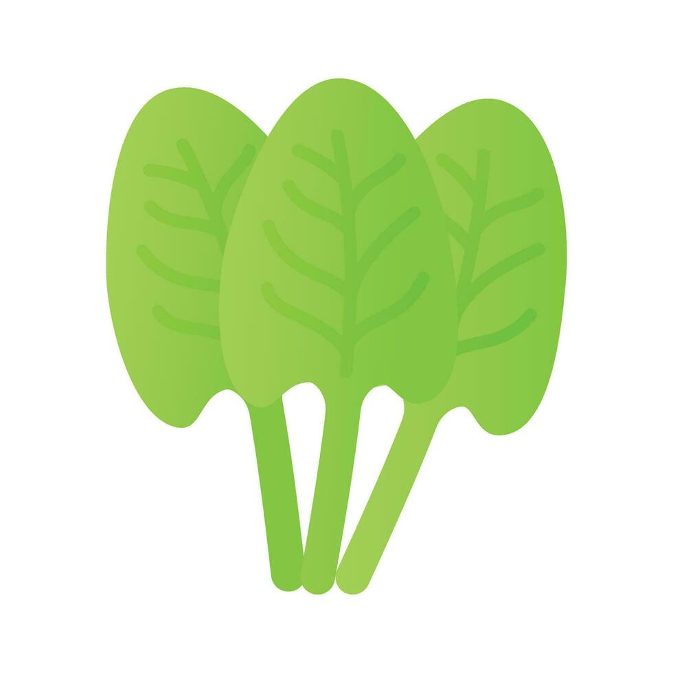 An Amazing icon of sorrel, bunch of sorrel leaves, trendy vector