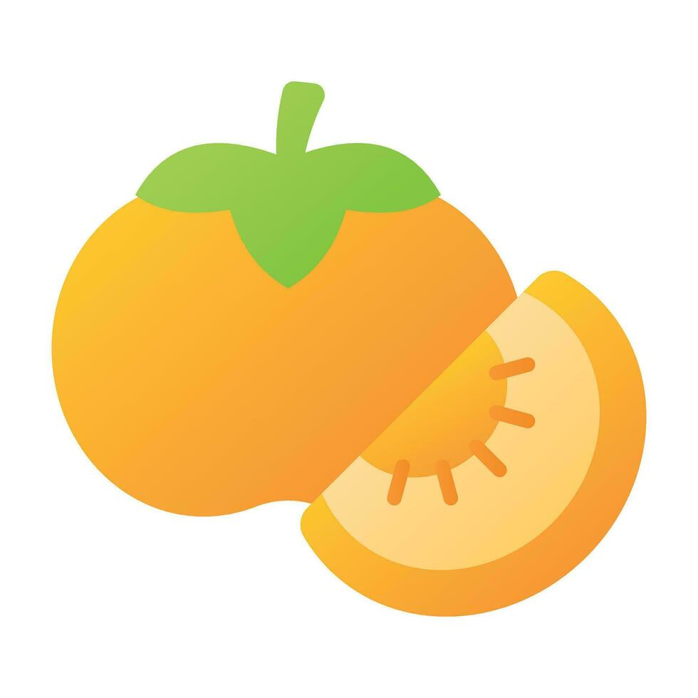 Persimmon fruit icon in modern design style, ready to use vector