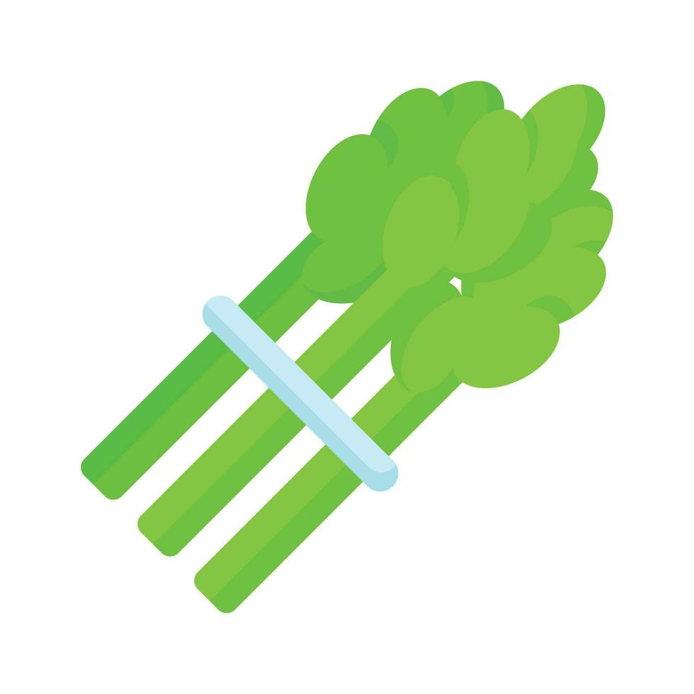 Asparagus vegetable vector design, healthy and organic food