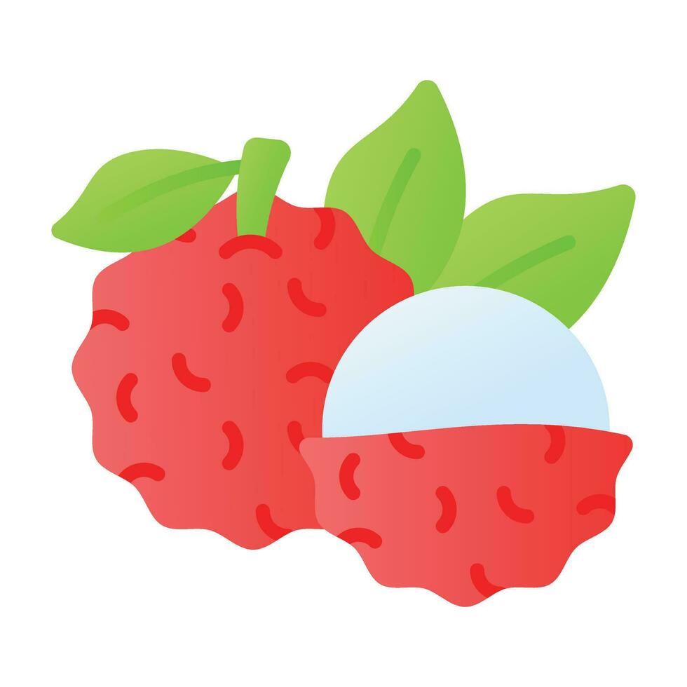 lychee Fruta vector diseño aislado en blanco fondo, sano y orgánico comida