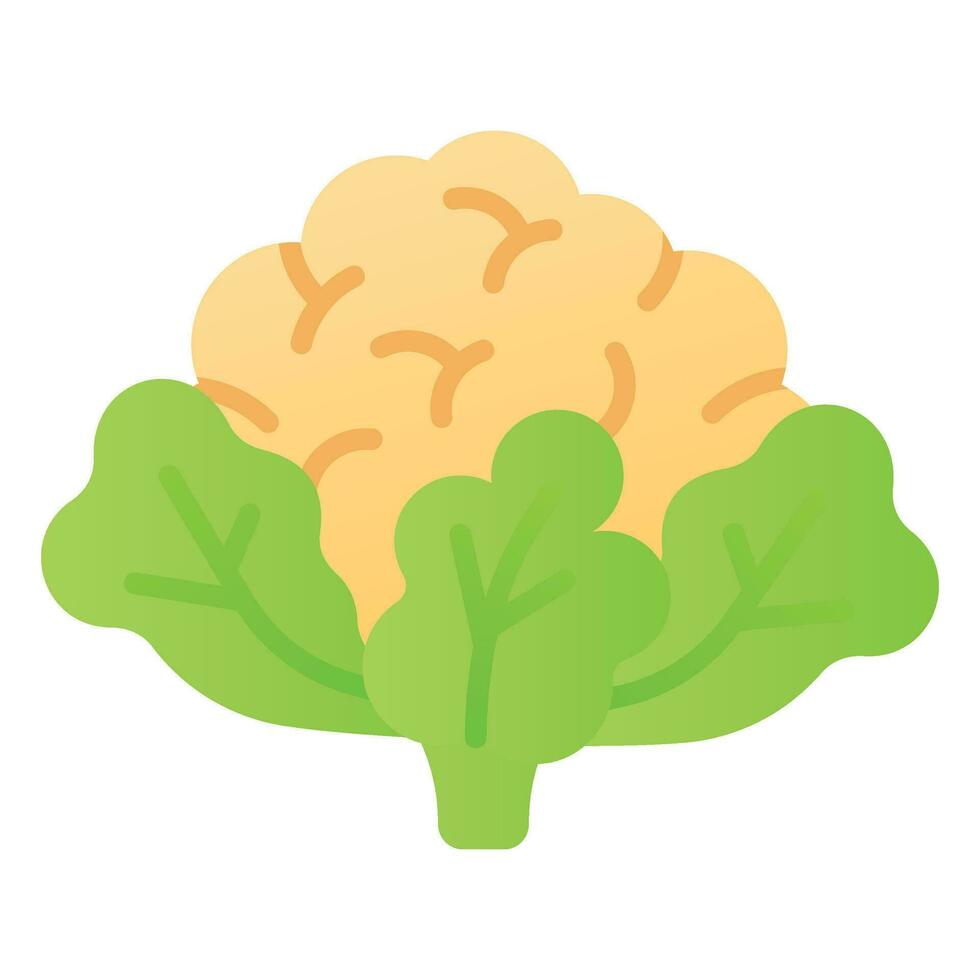 Fresh cauliflower with green leaves, healthy and organic food vector