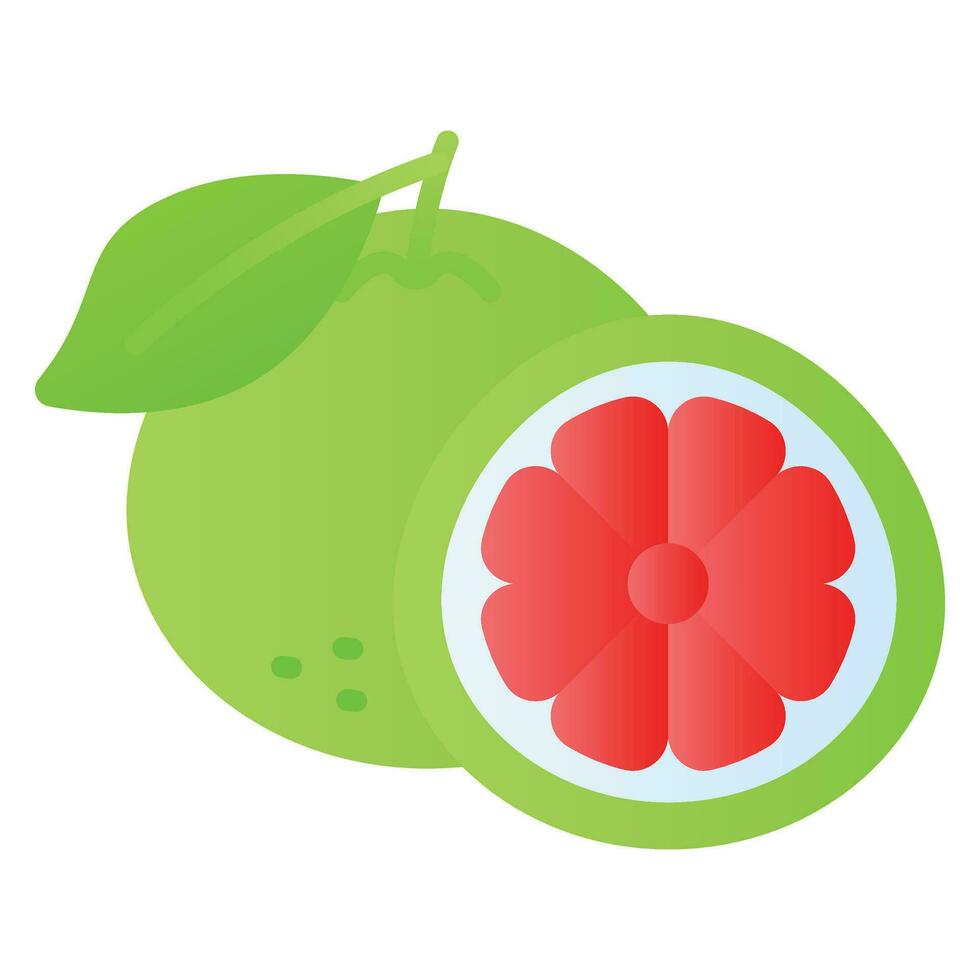 Well designed icon of grapefruit in modern style, healthiest citrus fruit vector