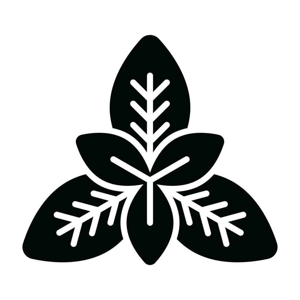 Fresh basil leaves vector design, isolated on white background