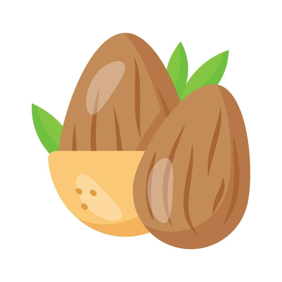 hermosamente diseñado icono de almendra en moderno estilo, comestible seco Fruta vector