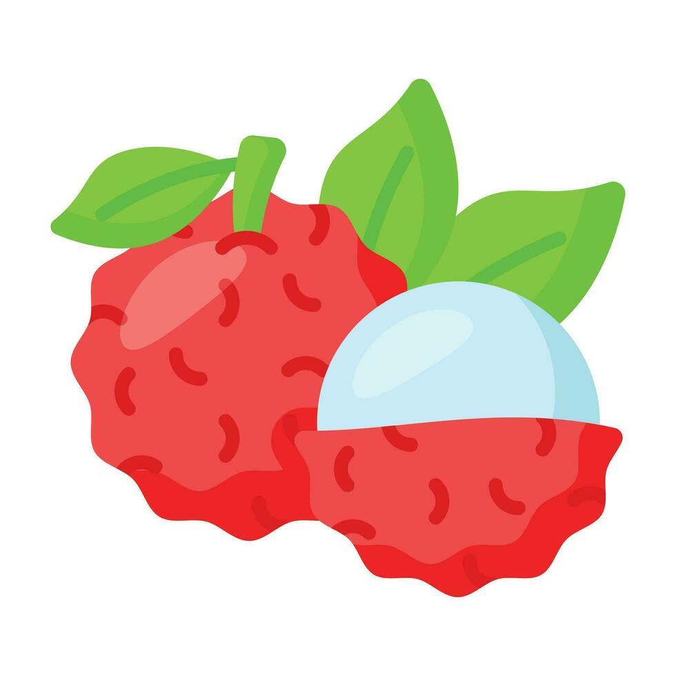 Lychee fruit vector design isolated on white background, healthy and organic food
