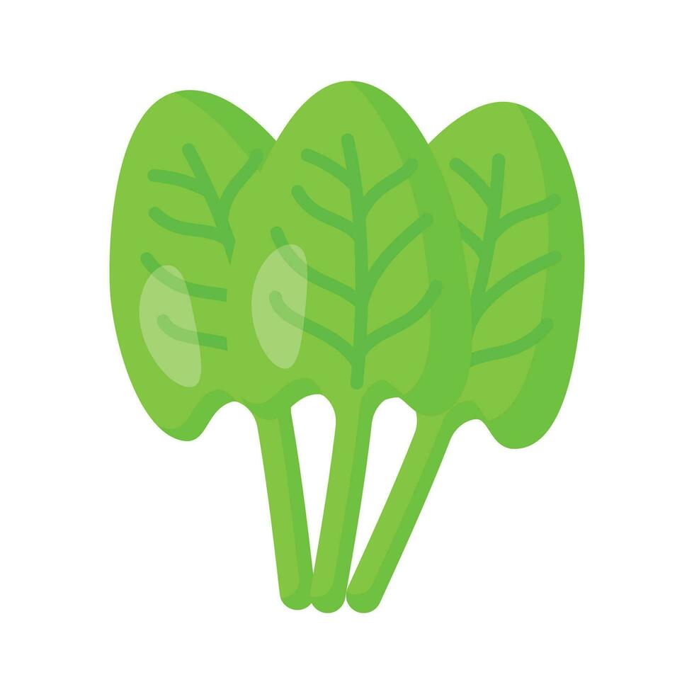 An Amazing icon of sorrel, bunch of sorrel leaves, trendy vector